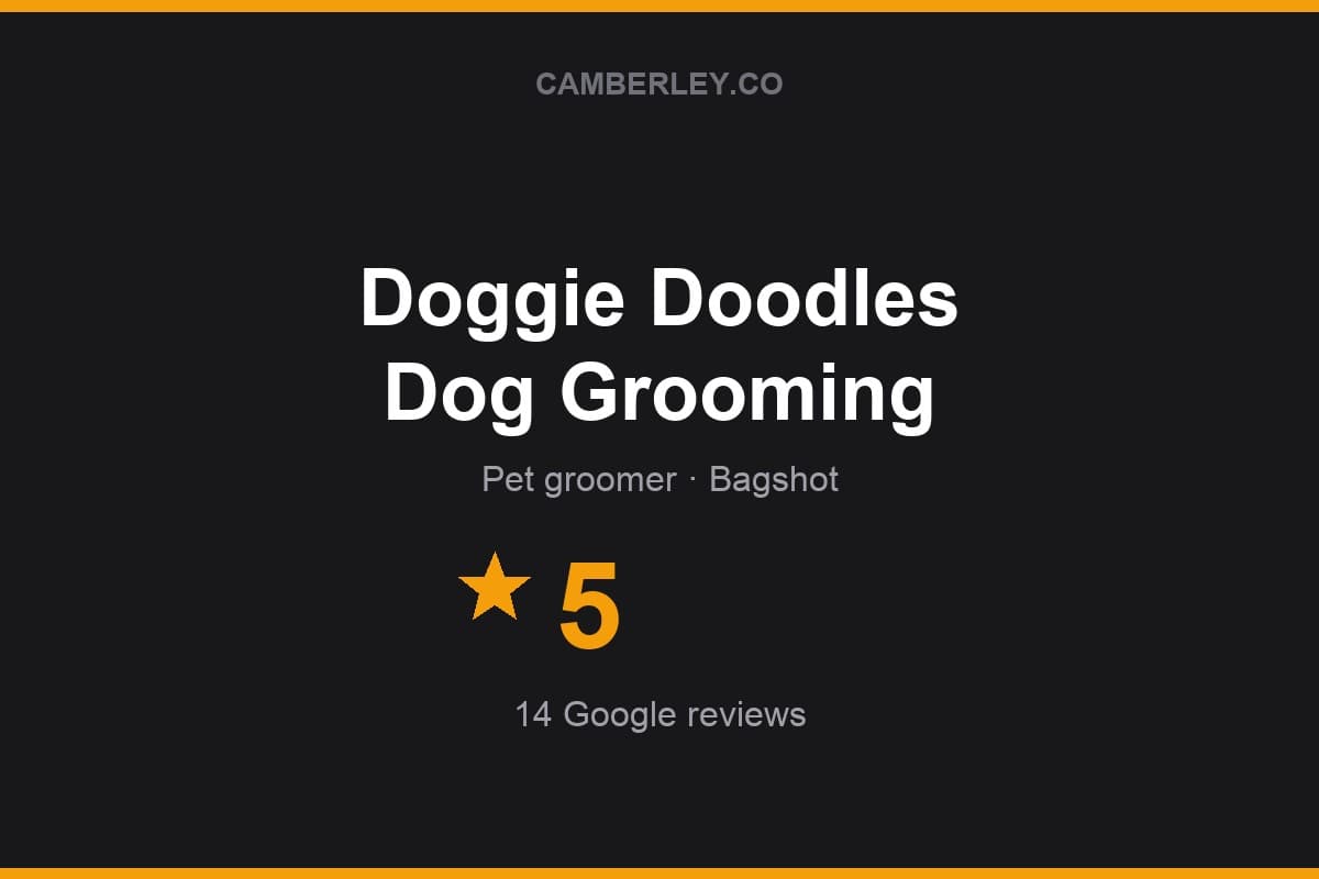 Branded Camberley.co rating card for Doggie Doodles Dog Grooming: 5 stars, 14 Google reviews